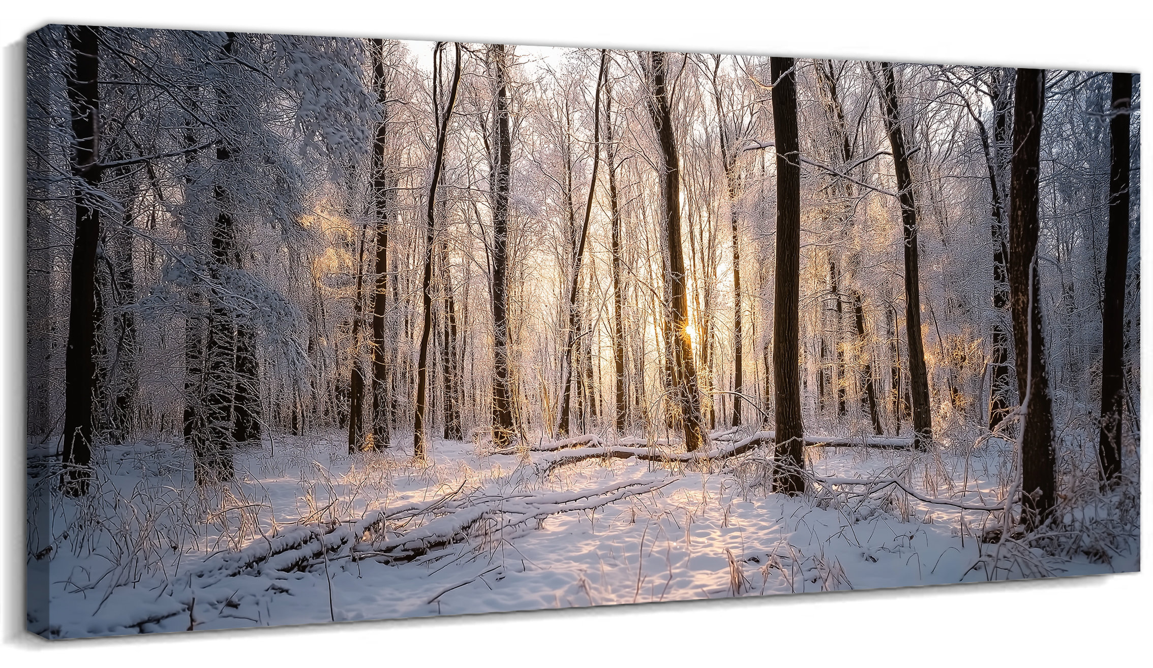 The Holiday Aisle® Winter Scene Canvas Wall Art, Christmas Snow
